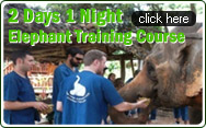 2 Days 1 Night Elephant Training Course