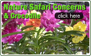 Nature Safari Concerns and Crocodile