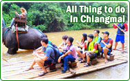 All Thing to do in Chiangmai