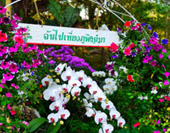 Doi Suthep Temple with Meo Hilltribe Village : JC Tour Chiangmai