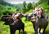 Elephant Safari and Long Neck : JC Tour