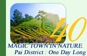 Magic Town in nature. Pai District