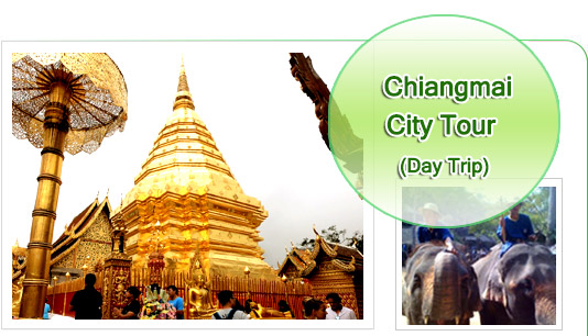 Chiang Mai City Tour