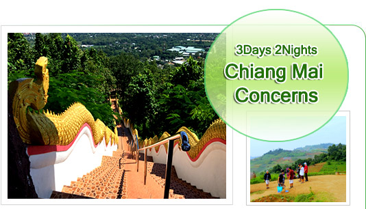 Chiang Mai - Concerns