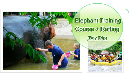 Elephant Training Course