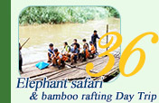 Elephant Safari and Bamboo Rafting