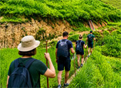 Mae Wang trekking